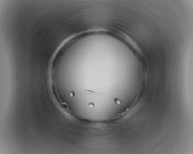 X0000113891124200910011317