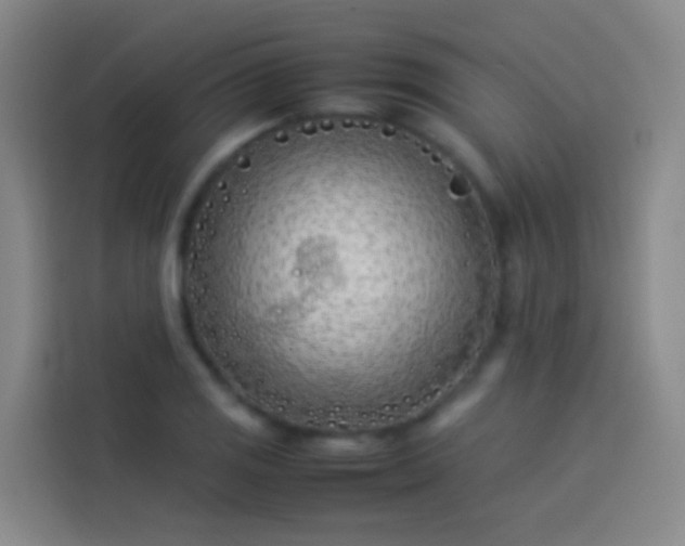 X0000113891125200910011317