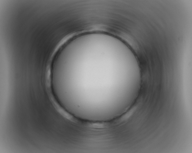 X0000113891126200910011317