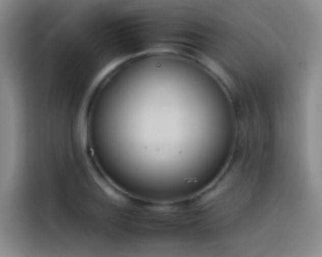 X0000113891127200910011317