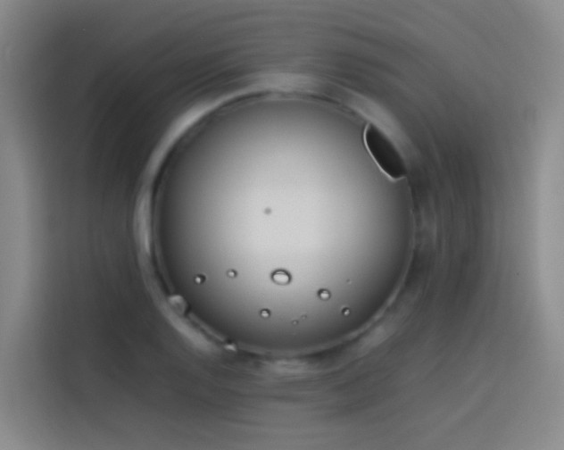 X0000113891128200910011317