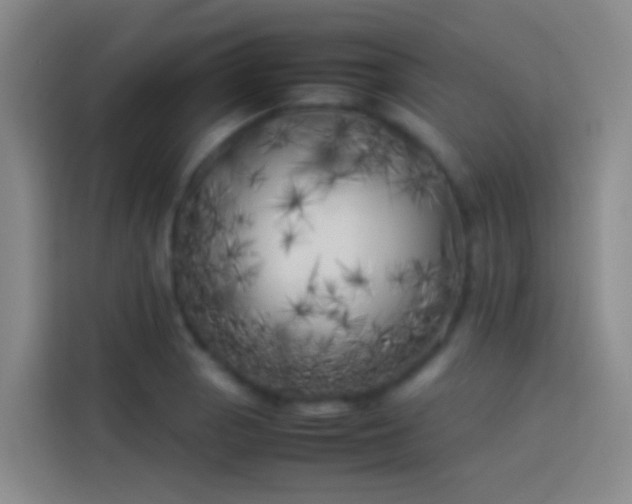 X0000113891129200910011317