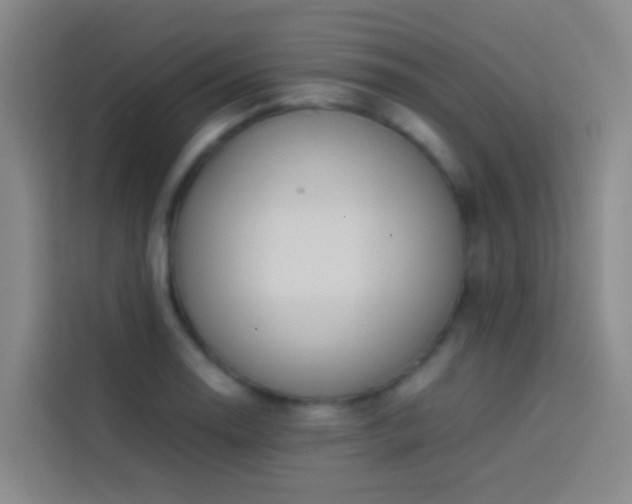 X0000113891130200910011317