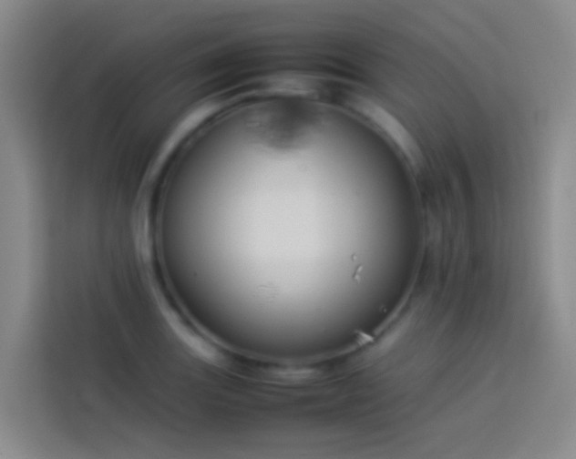 X0000113891131200910011317