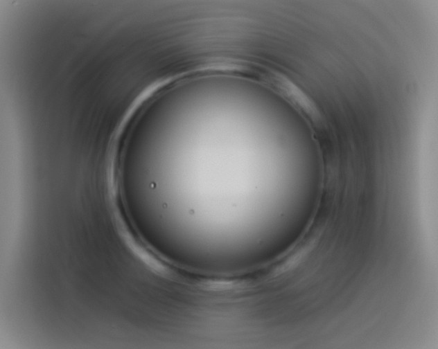 X0000113891132200910011317