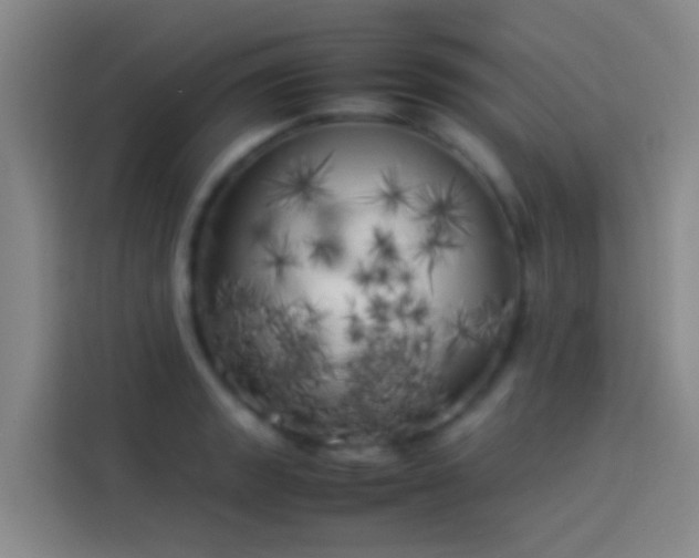 X0000113891133200910011317