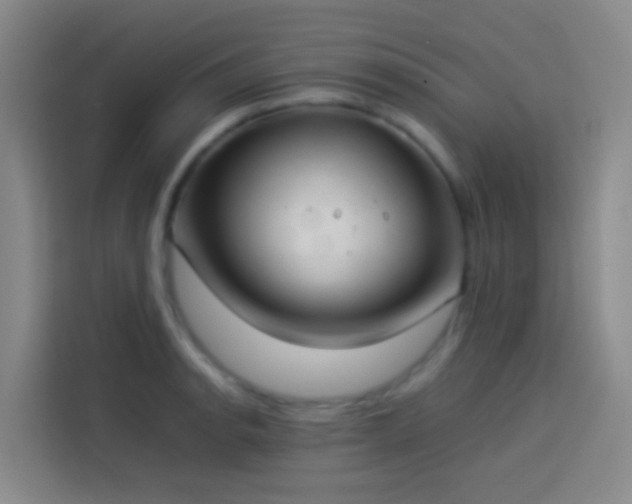 X0000113891134200910011317