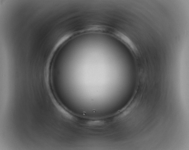 X0000113891135200910011317