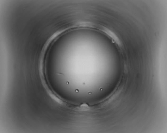 X0000113891136200910011317