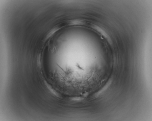 X0000113891137200910011317