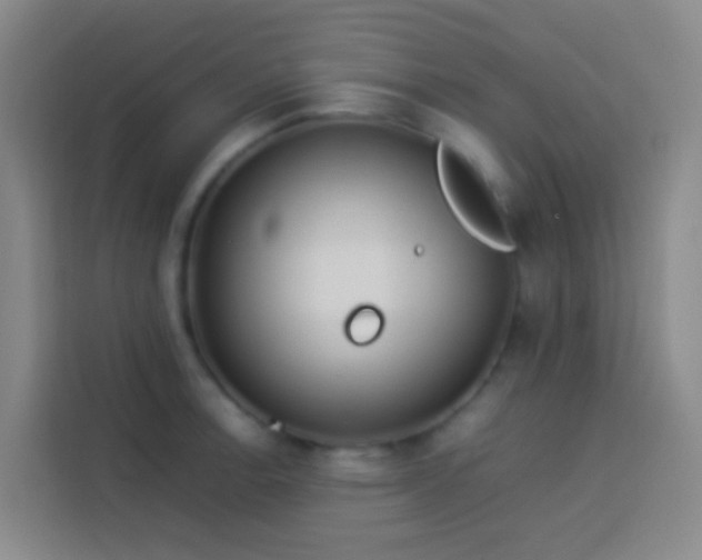 X0000113891138200910011317