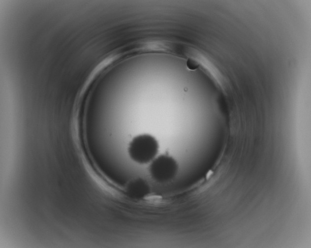 X0000113891139200910011317