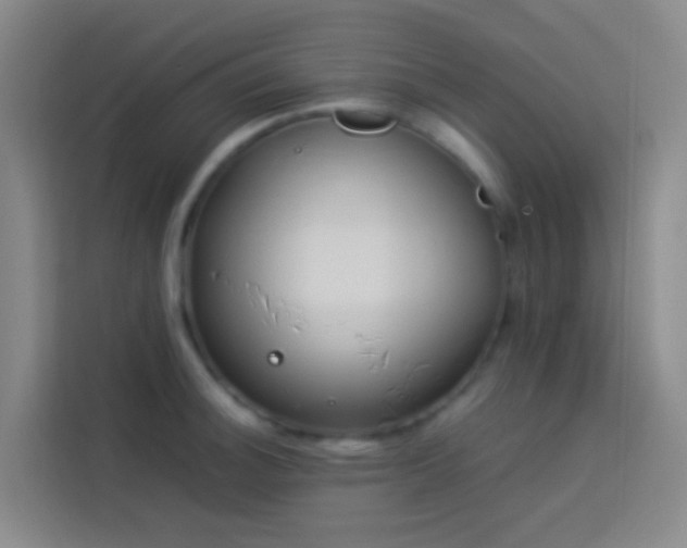 X0000113891140200910011317