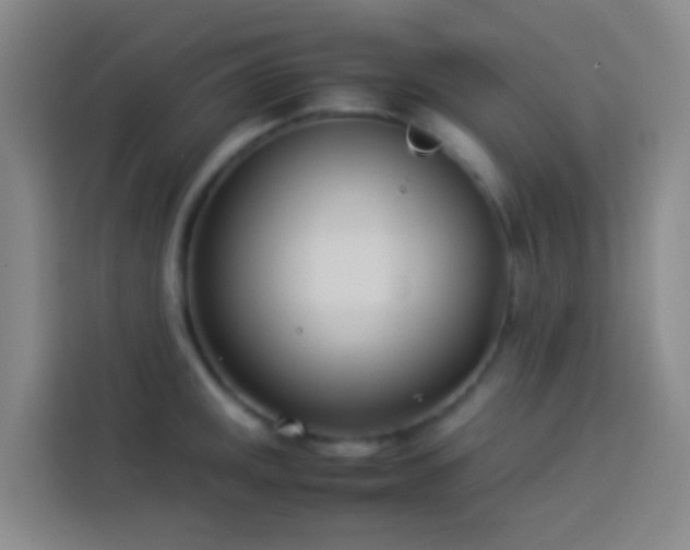 X0000113891141200910011317