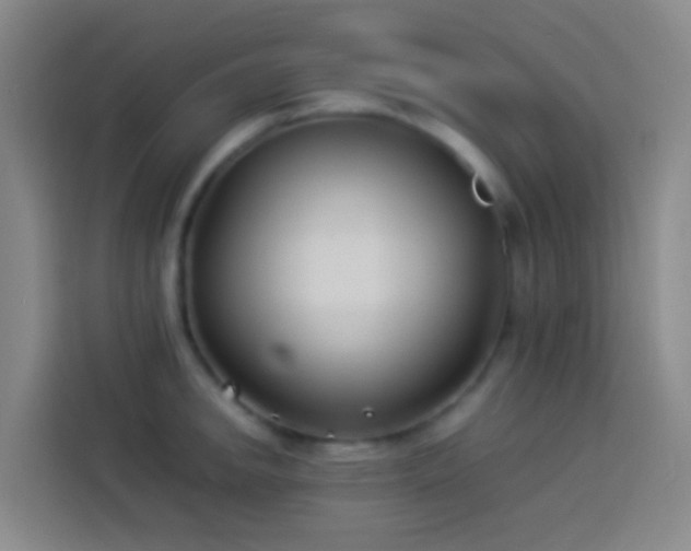 X0000113891142200910011317