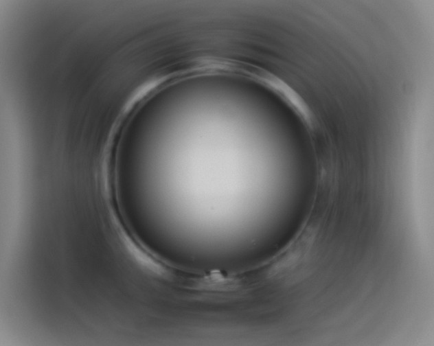 X0000113891143200910011317