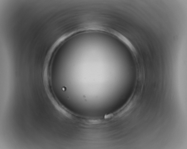 X0000113891144200910011317