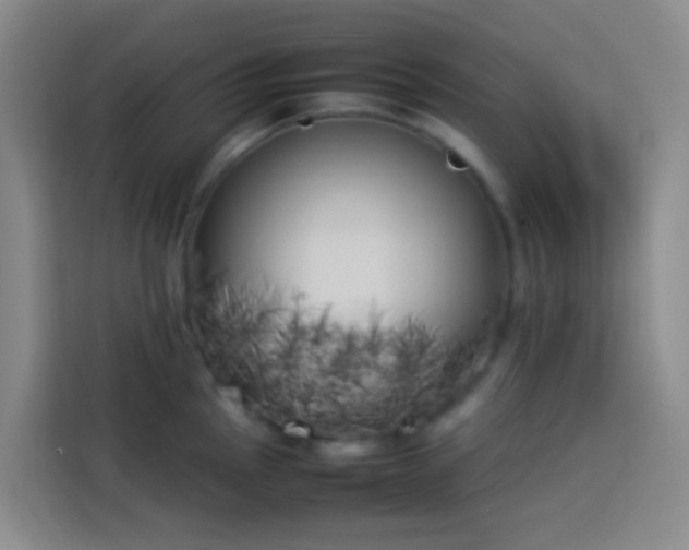 X0000113891145200910011317