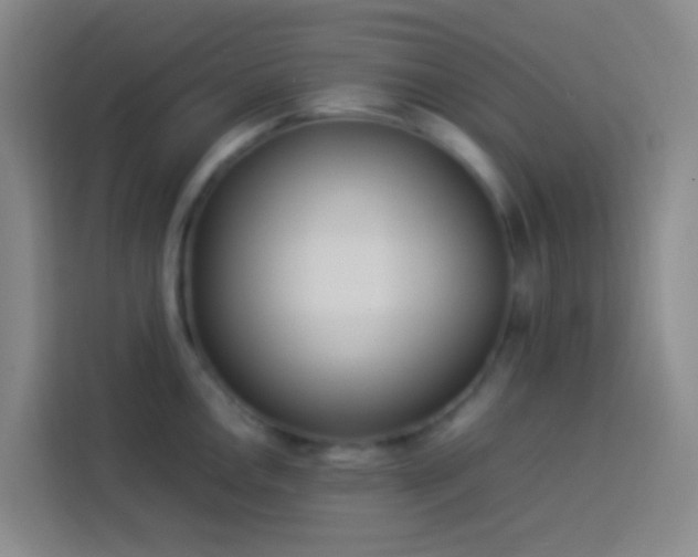 X0000113891146200910011317