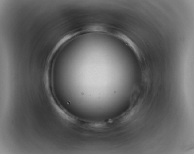 X0000113891147200910011317