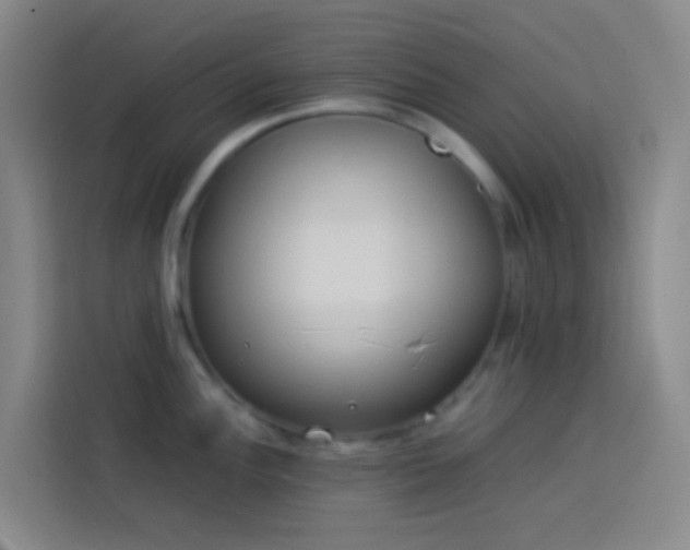 X0000113891148200910011317