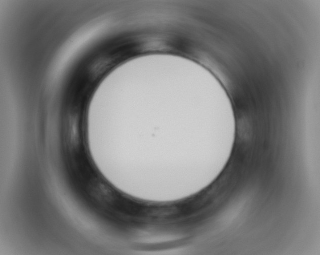 X0000113891150200910011317