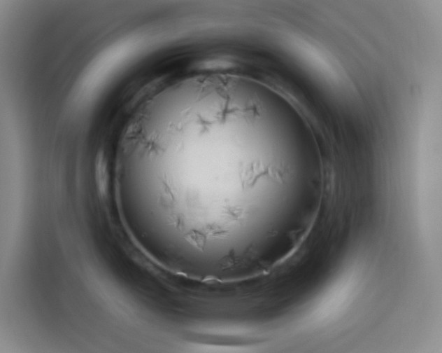 X0000113891151200910011317