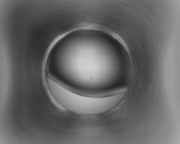 X0000113891152200910011317