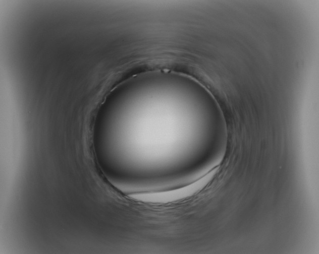 X0000113891153200910011317