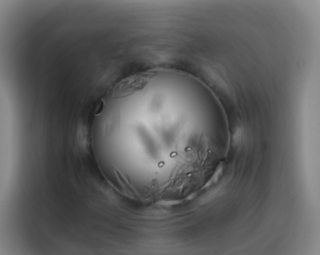 X0000113891156200910011317