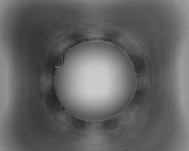 X0000113891157200910011317