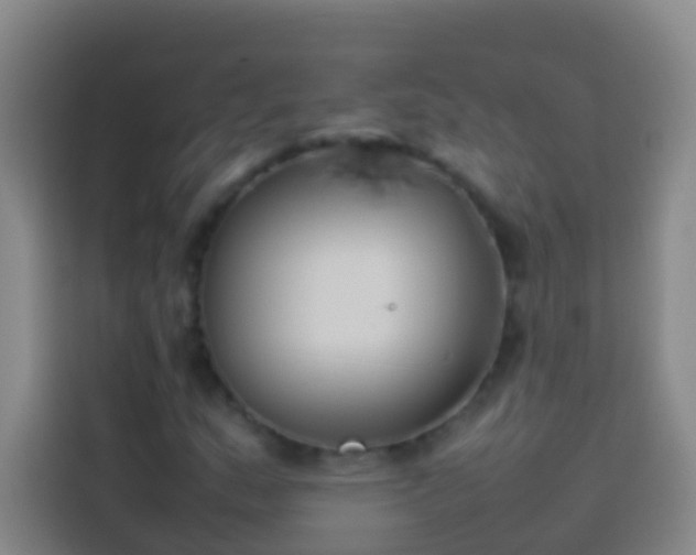 X0000113891159200910011317