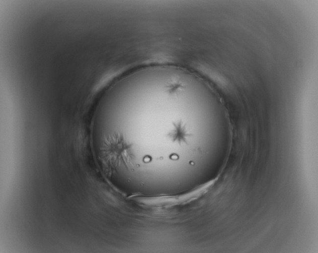 X0000113891160200910011317