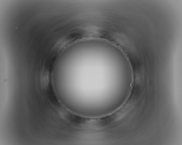 X0000113891161200910011317