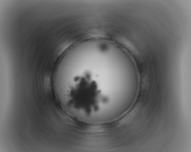 X0000113891162200910011317