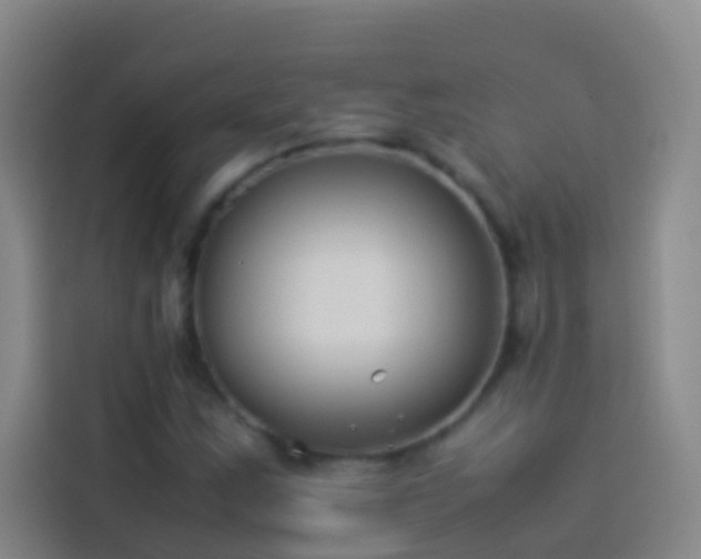 X0000113891163200910011317