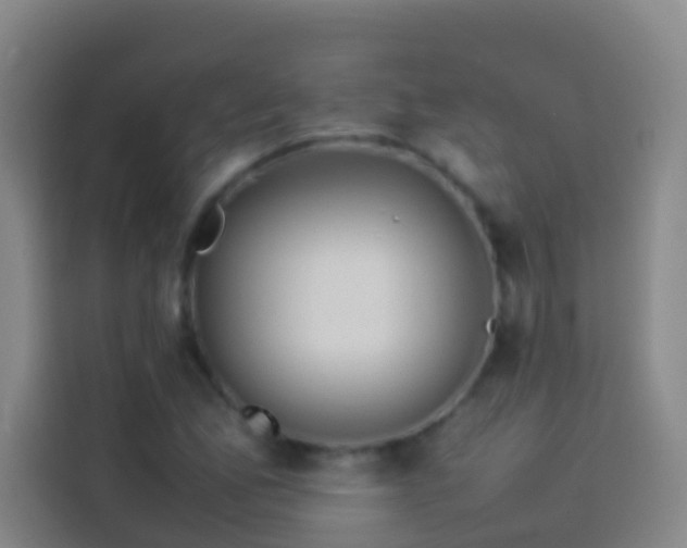 X0000113891165200910011317