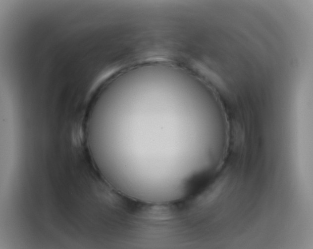 X0000113891166200910011317