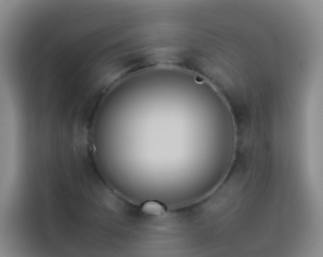 X0000113891169200910011317