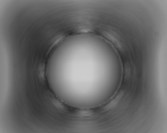 X0000113891170200910011317