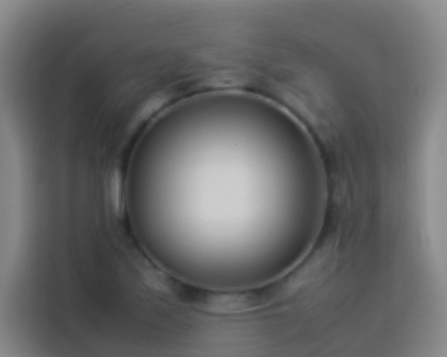 X0000113891171200910011317