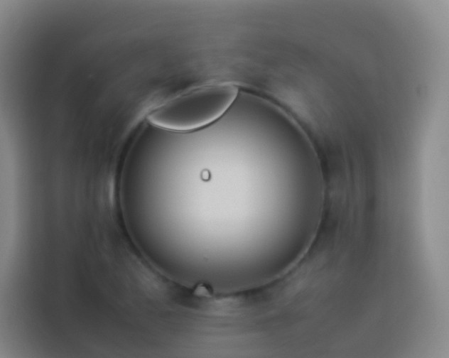 X0000113891173200910011317