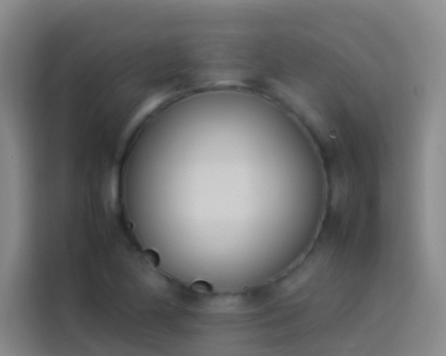 X0000113891174200910011317