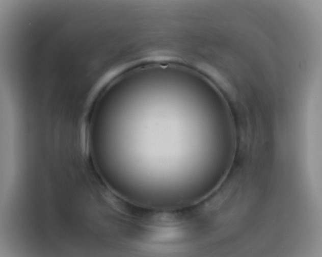 X0000113891175200910011317