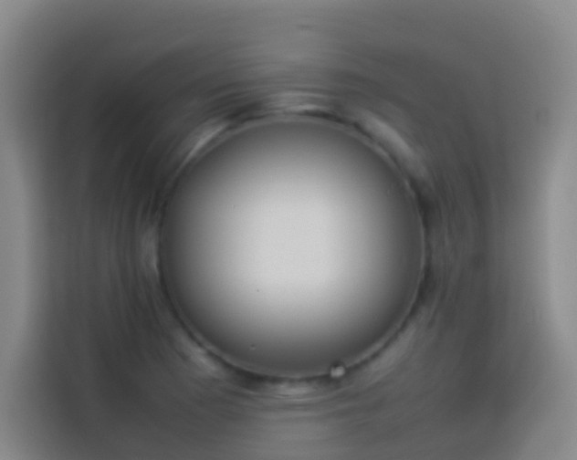 X0000113891177200910011316