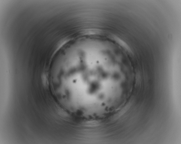 X0000113891178200910011316