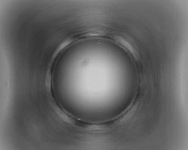 X0000113891179200910011316