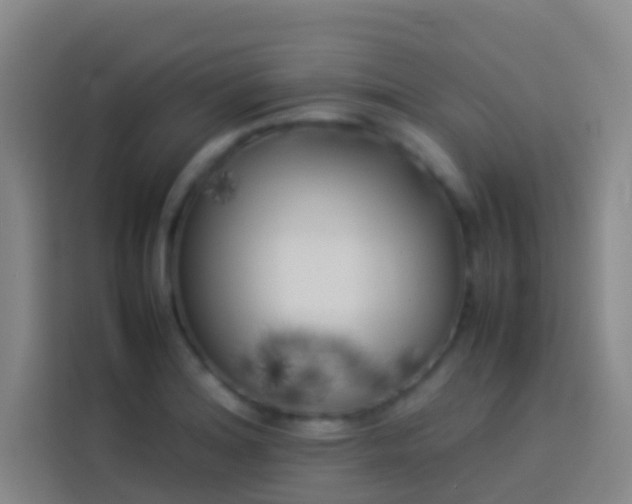 X0000113891180200910011316