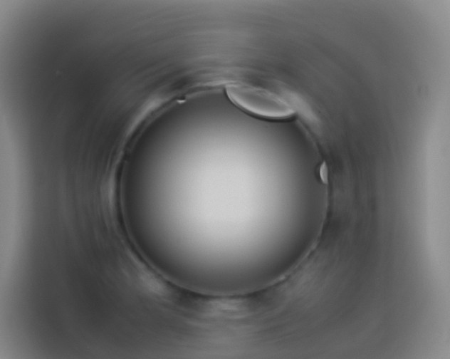 X0000113891181200910011316