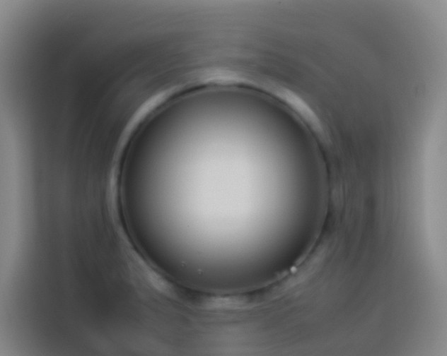 X0000113891183200910011316